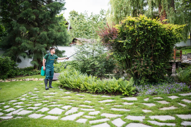 Best Soil Testing and Treatment  in Bridgewater, VA